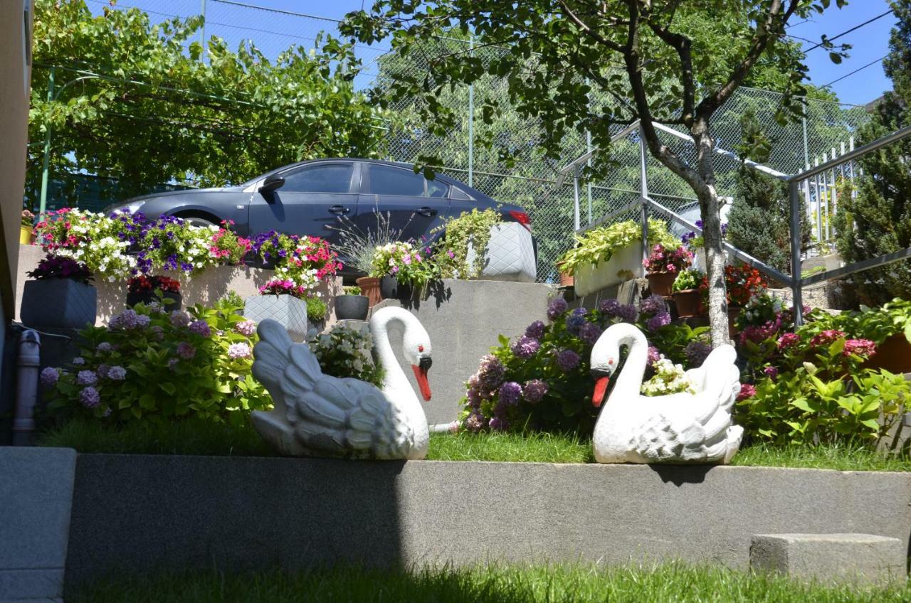 Apartments Lilly Rijeka Ngoại thất bức ảnh